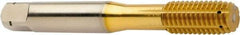 Sandvik Coromant - 2BX Form Thread Forming Tap - Powdered Metal High Speed Steel, 20mm Thread Length - Apex Tool & Supply