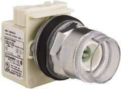 Schneider Electric - 1.18 Inch Mount Hole, Extended Straight, Pushbutton Switch Only - Round, Green Pushbutton, Illuminated, Momentary (MO), Weatherproof, Dust and Oil Resistant - Apex Tool & Supply