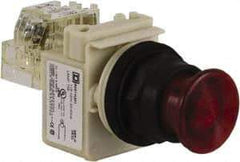 Schneider Electric - 30mm Mount Hole, Extended Straight, Pushbutton Switch with Contact Block - Red Pushbutton, Momentary (MO) - Apex Tool & Supply