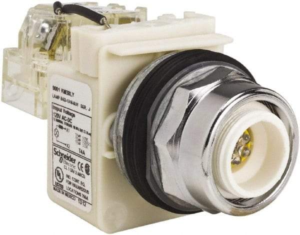 Schneider Electric - 120 VAC LED Indicating Light - Screw Clamp Connector - Apex Tool & Supply