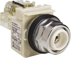 Schneider Electric - 120 VAC LED Indicating Light - Screw Clamp Connector - Apex Tool & Supply