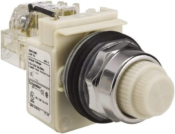 Schneider Electric - 120 VAC White Lens Indicating Light - Screw Clamp Connector - Apex Tool & Supply