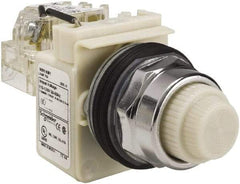 Schneider Electric - 120 VAC White Lens Indicating Light - Screw Clamp Connector - Apex Tool & Supply