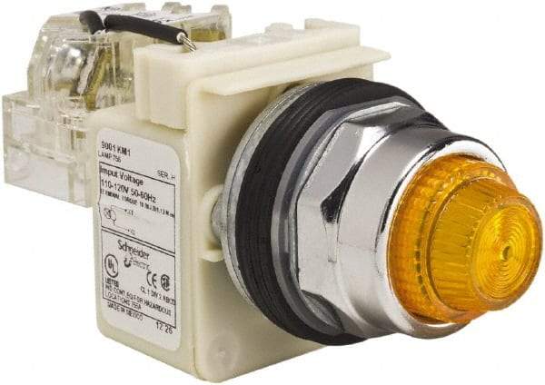 Schneider Electric - 120 VAC Amber Lens Indicating Light - Screw Clamp Connector - Apex Tool & Supply