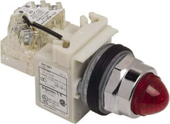 Schneider Electric - 120 VAC Red Lens Indicating Light - Screw Clamp Connector - Apex Tool & Supply