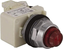 Schneider Electric - 24 V Red Lens LED Press-to-Test Indicating Light - Octagonal Lens, Screw Clamp Connector - Apex Tool & Supply