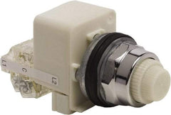 Schneider Electric - 120 VAC White Lens LED Indicating Light - Screw Clamp Connector - Apex Tool & Supply