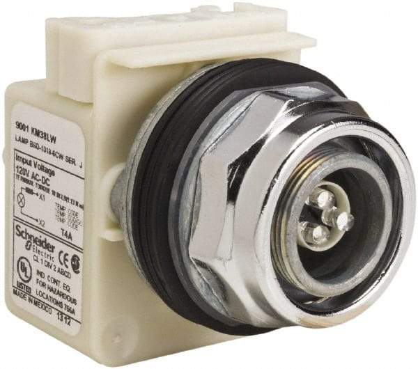 Schneider Electric - 120 V LED Pilot Light - Round Lens, Screw Clamp Connector - Apex Tool & Supply