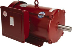 Leeson - 10 Max hp, 1,800 Max RPM, Electric AC DC Motor - 230 V Input, Single Phase, 215T Frame, 1-3/8" Shaft Diam, Rigid Base Mount, TEFC Enclosure - Apex Tool & Supply