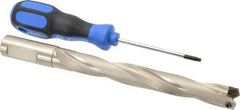 Guhring - 19 to 19.49mm Diam, 140.1mm Max Depth, 20mm Shank Diam, 169mm Flute, 221mm OAL, Replaceable Tip Drill - HT 800 WP Insert, Series 4109 - Apex Tool & Supply