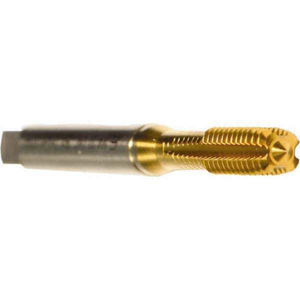 Emuge - M3x0.50 Metric 6HX Modified Bottoming Thread Forming Tap - Cobalt, TiN Finish, 56mm OAL, 11mm Thread Length, Right Hand Thread, Series Druck - Apex Tool & Supply