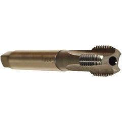 Emuge - M12x1.50 Metric Fine 6HX 4 Flute TiCN Finish Cobalt Straight Flute Machine Tap - Bottoming, Right Hand Thread, 100mm OAL, 22mm Thread Length, Oversize, Through Coolant - Apex Tool & Supply
