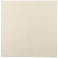 Made in USA - 2' x 24" x 3/8" Tan ABS Sheet - Apex Tool & Supply