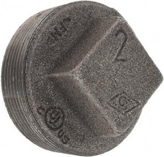 Value Collection - Size 2", Class 150, Malleable Iron Black Pipe Square Plug - 150 psi, Threaded End Connection - Apex Tool & Supply