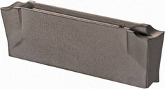 Iscar - DGN3102 J IC20 Grade, 0.122" Cutting Width, Carbide Cutoff Insert - Neutral Lead Angle, 0.008" Cnr Rad, Single End - Apex Tool & Supply