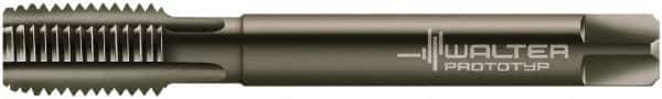 Walter-Prototyp - M12x1.00 Metric Fine 6HX 4 Flute Nitride/Oxide Finish Powdered Metal Straight Flute Machine Tap - Modified Bottoming, Right Hand Thread, 100mm OAL, 21mm Thread Length, Oversize - Apex Tool & Supply