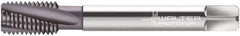 Walter-Prototyp - M12x1.75 Metric 4 Flute 6HX Modified Bottoming Spiral Flute Tap - Powdered Metal, AlCrN Finish, 110mm OAL, Right Hand Flute, Right Hand Thread, Series 2046663 - Apex Tool & Supply