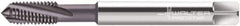 Walter-Prototyp - M10x1.50 Metric 3 Flute 6HX Modified Bottoming Spiral Flute Tap - Powdered Metal, AlCrN Finish, 100mm OAL, Right Hand Flute, Right Hand Thread, Series 2041663 - Apex Tool & Supply