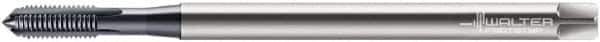 Walter-Prototyp - M8x1.25 Metric 4 Flute TiCN Finish Powdered Metal Hand Extension Tap - Modified Bottoming Chamfer, 7.0866" OAL, 6HX Class of Fit, Series E2031436 - Apex Tool & Supply