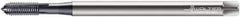 Walter-Prototyp - M8x1.25 Metric 4 Flute TiCN Finish Powdered Metal Hand Extension Tap - Modified Bottoming Chamfer, 7.0866" OAL, 6HX Class of Fit, Series E2031436 - Apex Tool & Supply