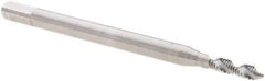 Walter-Prototyp - M1.6x0.35 Metric 2 Flute 6H Modified Bottoming Spiral Flute Tap - Cobalt, Bright Finish, 40mm OAL, Right Hand Flute, Right Hand Thread, Series N20516 - Apex Tool & Supply
