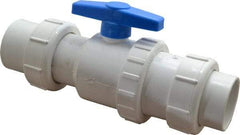 Little Giant Pumps - 2" PVC Check Valve - Inline, Union - Apex Tool & Supply