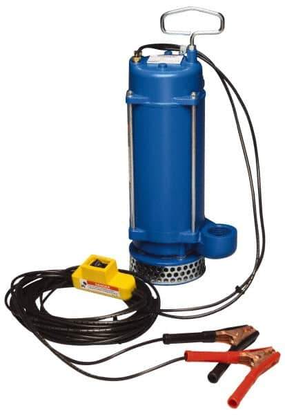 Warren Rupp - 1/3 hp, 12 VDC Amp Rating, 12 VDC Volts, Nonautomatic Operation, Dewatering Pump - Aluminum Housing - Apex Tool & Supply