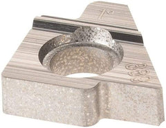 Sandvik Coromant - 3/8" Inscribed Circle, Toolholder Shim for Indexables - 1/64" Thick, 5322 389 Shim Style, Positive Rake, Left Hand, Right Hand Cut - Apex Tool & Supply