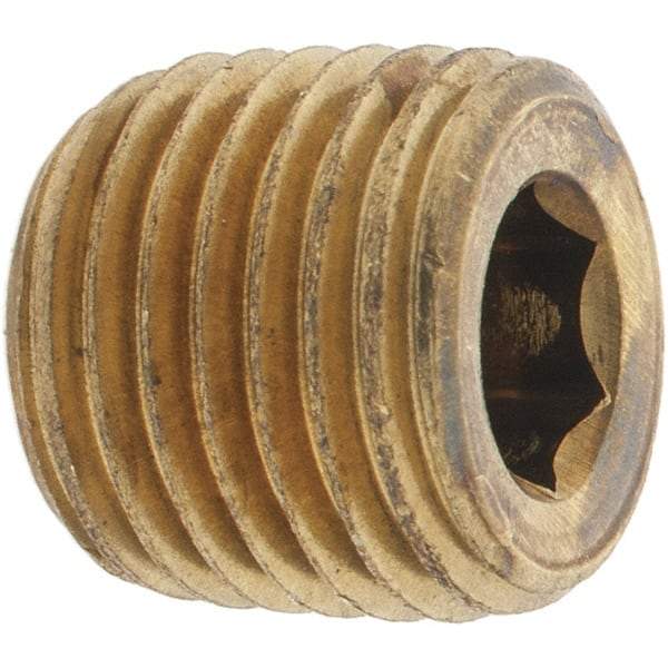 Parker - 1/4 Male Thread, Brass Industrial Pipe Hollow Hex Plug - MNPTF, 1,000 psi - Apex Tool & Supply
