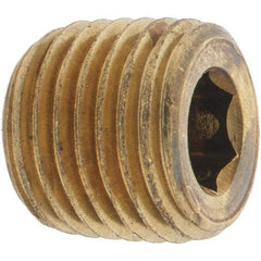 Parker - 1/4 Male Thread, Brass Industrial Pipe Hollow Hex Plug - MNPTF, 1,000 psi - Apex Tool & Supply
