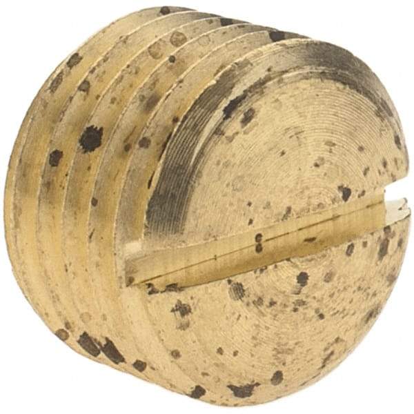 Parker - 1/4 Male Thread, Brass Industrial Pipe Slotted Plug - MNPTF, 1,000 psi - Apex Tool & Supply