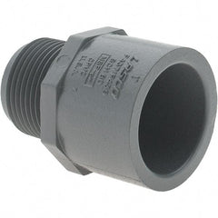Value Collection - 1" CPVC Plastic Pipe Male Adapter - MIPT x Slip End Connections - Apex Tool & Supply