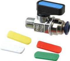 Aignep USA - 1/8" Pipe, Full Port, Brass Standard Ball Valve - Apex Tool & Supply