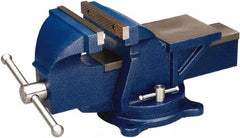 Wilton - 5" Jaw Width, 5" Opening Capacity, 2-1/2" Throat Depth, Steel Swivel Bench Vise - Bolt Down Base Attachment - Apex Tool & Supply