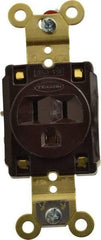Hubbell Wiring Device-Kellems - 125 VAC, 15 Amp, 5-15R NEMA Configuration, Brown, Specification Grade, Self Grounding Single Receptacle - 1 Phase, 2 Poles, 3 Wire, Flush Mount, Corrosion, Heat and Impact Resistant - Apex Tool & Supply