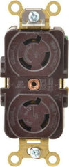 Hubbell Wiring Device-Kellems - 250 VAC, 15 Amp, L6-15R NEMA, Self Grounding Receptacle - 2 Poles, 3 Wire, Female End, Brown - Apex Tool & Supply