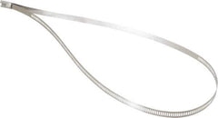 Thomas & Betts - 24" Long Black Stainless Steel Standard Cable Tie - 250 Lb Tensile Strength, 0.25mm Thick, 3" Max Bundle Diam - Apex Tool & Supply