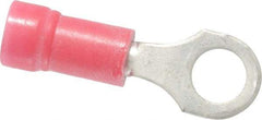 Thomas & Betts - 22-16 AWG Partially Insulated Crimp Connection D Shaped Ring Terminal - #10 Stud, 0.97" OAL x 0.31" Wide, Tin Plated Copper Contact - Apex Tool & Supply