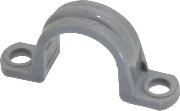 Thomas & Betts - 1/2 Pipe, PVC, Pipe or Conduit Strap - 2 Mounting Holes - Apex Tool & Supply