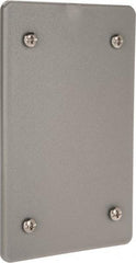 Thomas & Betts - Electrical Outlet Box Polycarbonate Blank Cover - Includes Gasket & Screw - Apex Tool & Supply