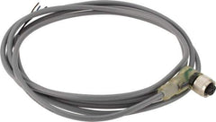 Telemecanique Sensors - 3 Amp, M12 3 Pin Female Straight Cordset Sensor and Receptacle - 30 VAC, 36 VDC, 2m Cable Length, IP67 Ingress Rating - Apex Tool & Supply