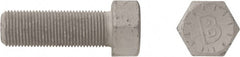 Bowmalloy - 7/8-9, 2-1/4" Long Hex Head Cap Screw - Apex Tool & Supply