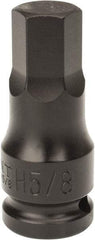 Paramount - 1/2" Drive, 5/8" Impact Hex Bit Socket - 1-7/16" Bit Length, 2-1/4" OAL - Apex Tool & Supply