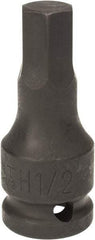 Paramount - 1/2" Drive, 1/2" Impact Hex Bit Socket - 1-3/8" Bit Length, 2-5/16" OAL - Apex Tool & Supply