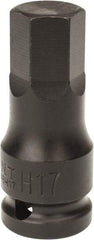 Paramount - 1/2" Drive, 17mm Impact Hex Bit Socket - 1-7/16" Bit Length, 2-5/16" OAL - Apex Tool & Supply