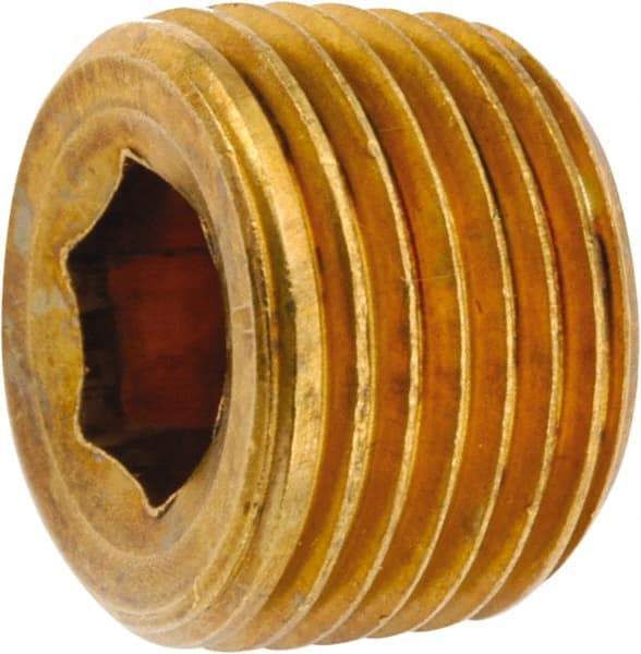 ANDERSON METALS - 1/2-14 Male Thread, Lead Free Brass Industrial Pipe Hollow Hex Plug - MNPT, 1,000 psi - Apex Tool & Supply