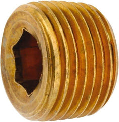 ANDERSON METALS - 1/2-14 Male Thread, Lead Free Brass Industrial Pipe Hollow Hex Plug - MNPT, 1,000 psi - Apex Tool & Supply