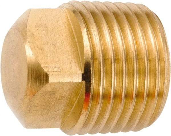 ANDERSON METALS - 1/2-14 Male Thread, Lead Free Brass Industrial Pipe Square Head Plug - MNPT, 1,000 psi - Apex Tool & Supply