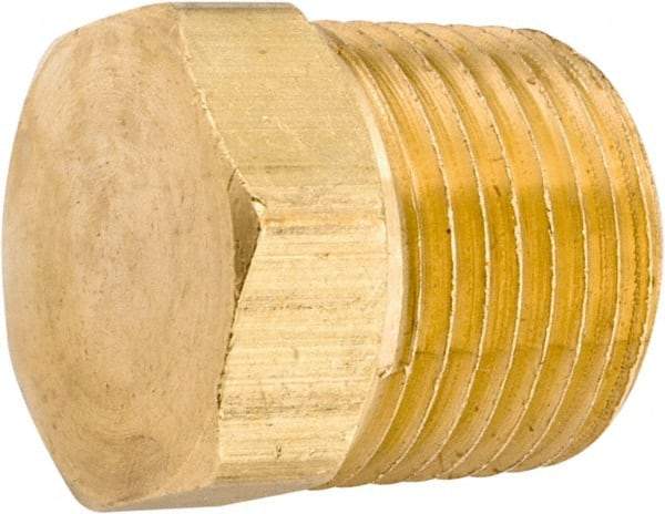 ANDERSON METALS - 1/2-14 Male Thread, Lead Free Brass Industrial Pipe Hex Head Plug - MNPT, 1,000 psi - Apex Tool & Supply