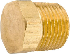 ANDERSON METALS - 1/2-14 Male Thread, Lead Free Brass Industrial Pipe Hex Head Plug - MNPT, 1,000 psi - Apex Tool & Supply